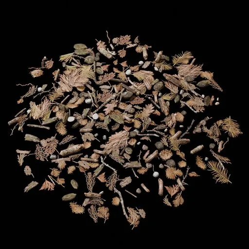 Old Ground Debris
