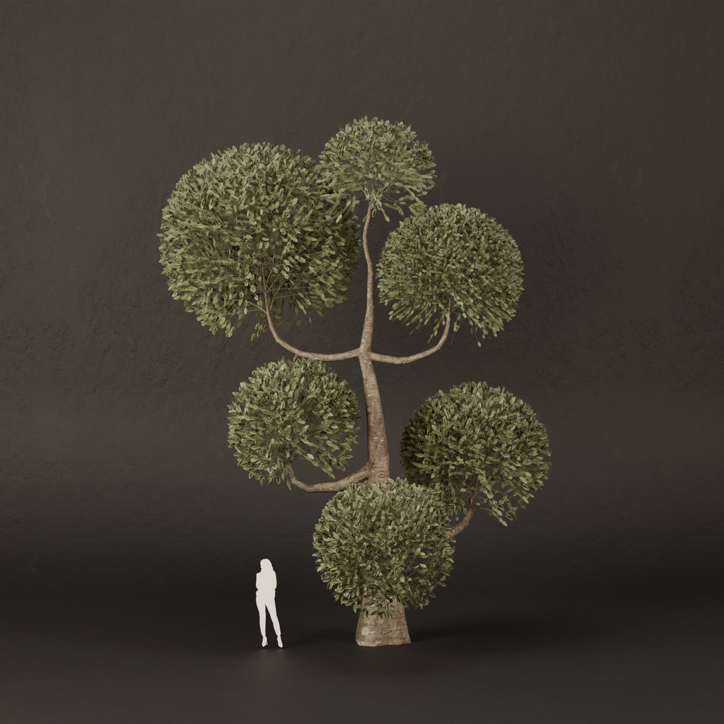 BlenderKit | Download the SJ-Ornamental Tree Spiral Grace model