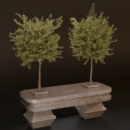 SJ- Grounded Zen Bench