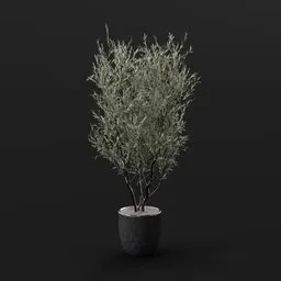 Olive Tree Marble Pot