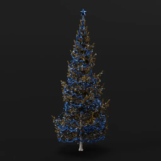 Christmas Tree Yellow Elder