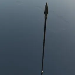 A spear