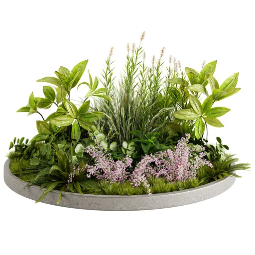 Garden plants C