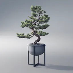 Bonsai tree