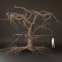 SJ-Tree Skeleton Without Foliage