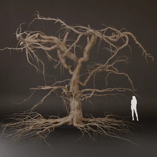 SJ-Tree Skeleton Without Foliage