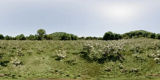 Idyllic sunlit grassy landscape with lush foliage under clear skies, perfect for 3D scene lighting.