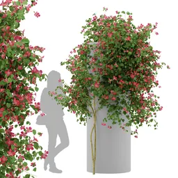 Ivy Flower Column - Chinese trumpet vine