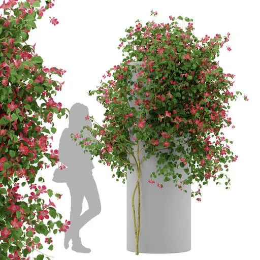 Ivy Flower Column Plant