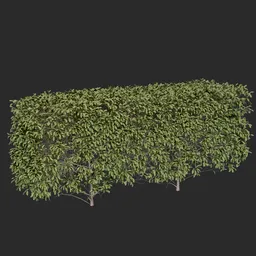 Realistic 3D hedge model with optimized poly count and lifelike materials for architectural scenes in Blender.