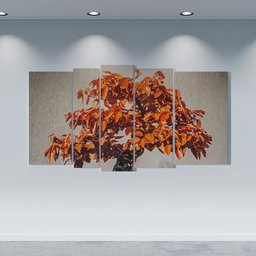 Tree Pics Modern Wall Decoration