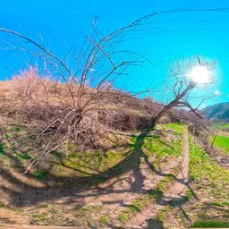 Spring Orchard Hillside Mountain Village