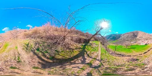 Spring Orchard Hillside Mountain Village