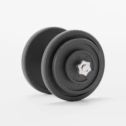Simple weights