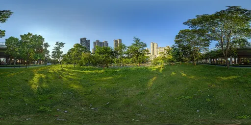 Green grass and sky