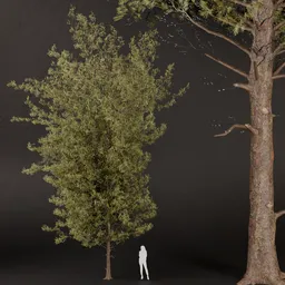 SJ- Perfect Pine Tree