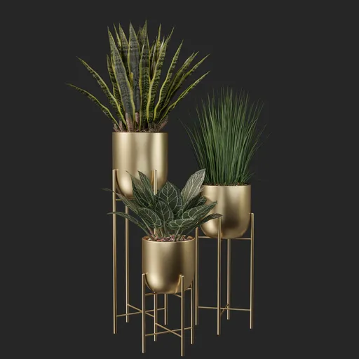 Plant