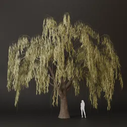 SJ-Leaves of Serenity