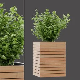 Wooden Planter Variegated Leaves