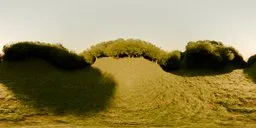 360-degree HDR panorama of a lush green landscape for lighting virtual scenes.