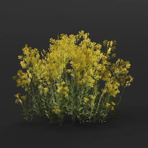 Glastum Bush Large