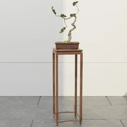 Bougainvillea Bonsai Tree