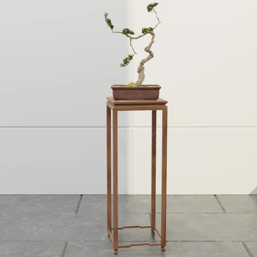 Bougainvillea Bonsai Tree