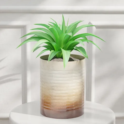 Green Foliage Plant