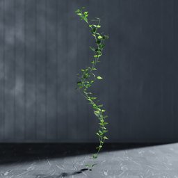 "Artificial Philodendron Garland 3D Model for Blender 3D - Editable Stem and Geometry Nodes. Realistic Vines and Thorns on Grey Background - Nature-Indoor Category."