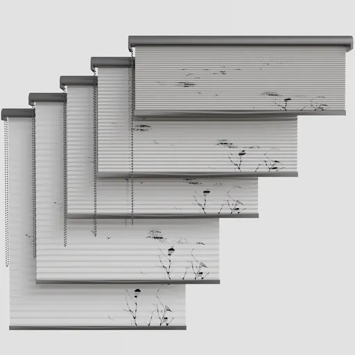 Curtain