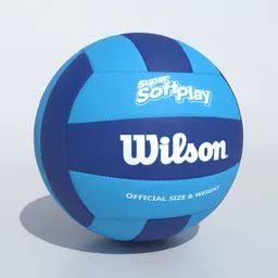 Volleyball Ball Wilson