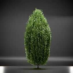 Tree Columnar European Animated