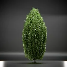 Tree Columnar European Animated