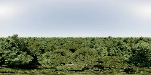 360° panoramic HDR image capturing a vibrant forest canopy under a clear blue sky for realistic lighting in 3D scenes.