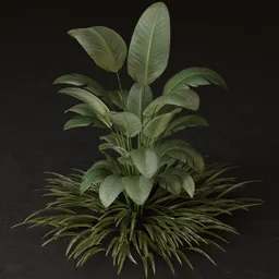 SJ-Architectural Outdoor Green Shrub