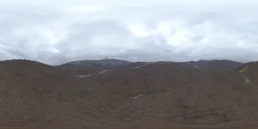 Overcast Day Over Winter Forest