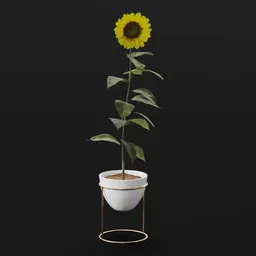 Flower Sunflower Bent Pot