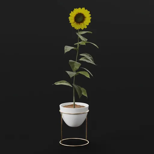 Flower Sunflower Bent Pot