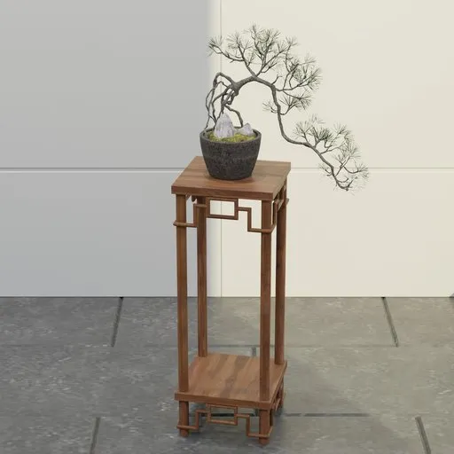 Windswept Pine Bonsai