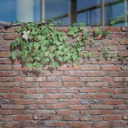 Realistic 3D ivy model overlaying a textured brick ledge for Blender integration, ideal for game environments and CG scenes.