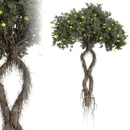 tree
