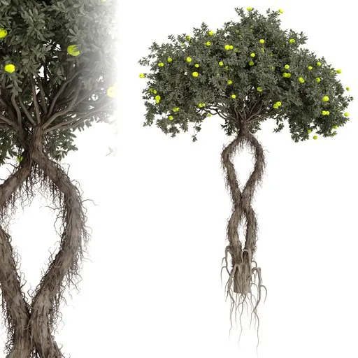 tree