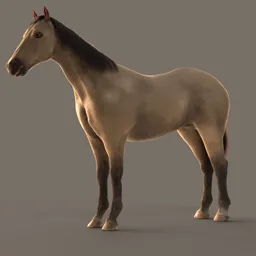 "Highly detailed beige horse 3D model for Blender 3D software - ideal for mammal enthusiasts. This meticulously crafted horse model, with a Riggify rig, is perfect for still renders, offering realistic features and textures. Enhance your creativity with this lifelike 3D representation of a pet horse."