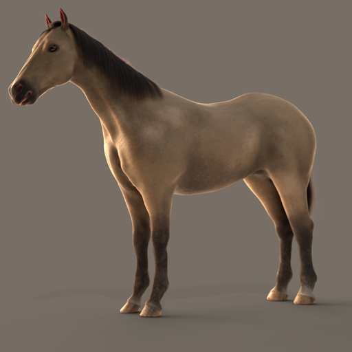 Horse (Beige) PL
