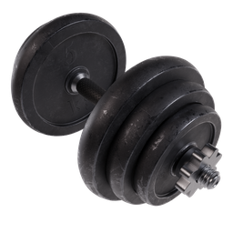 Realistic Dumbell