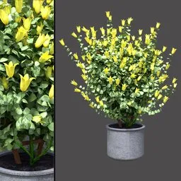 Climbing Flower Planter