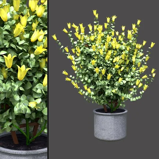 Climbing Flower Planter