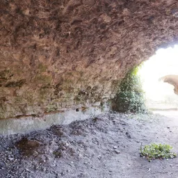 Drachenfels Cellar