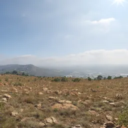 Kloofendal 43d Clear