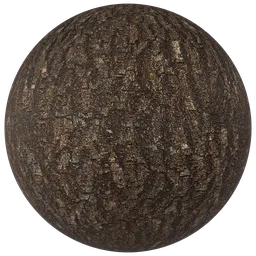 Realistic Tree Bark PBR Texture